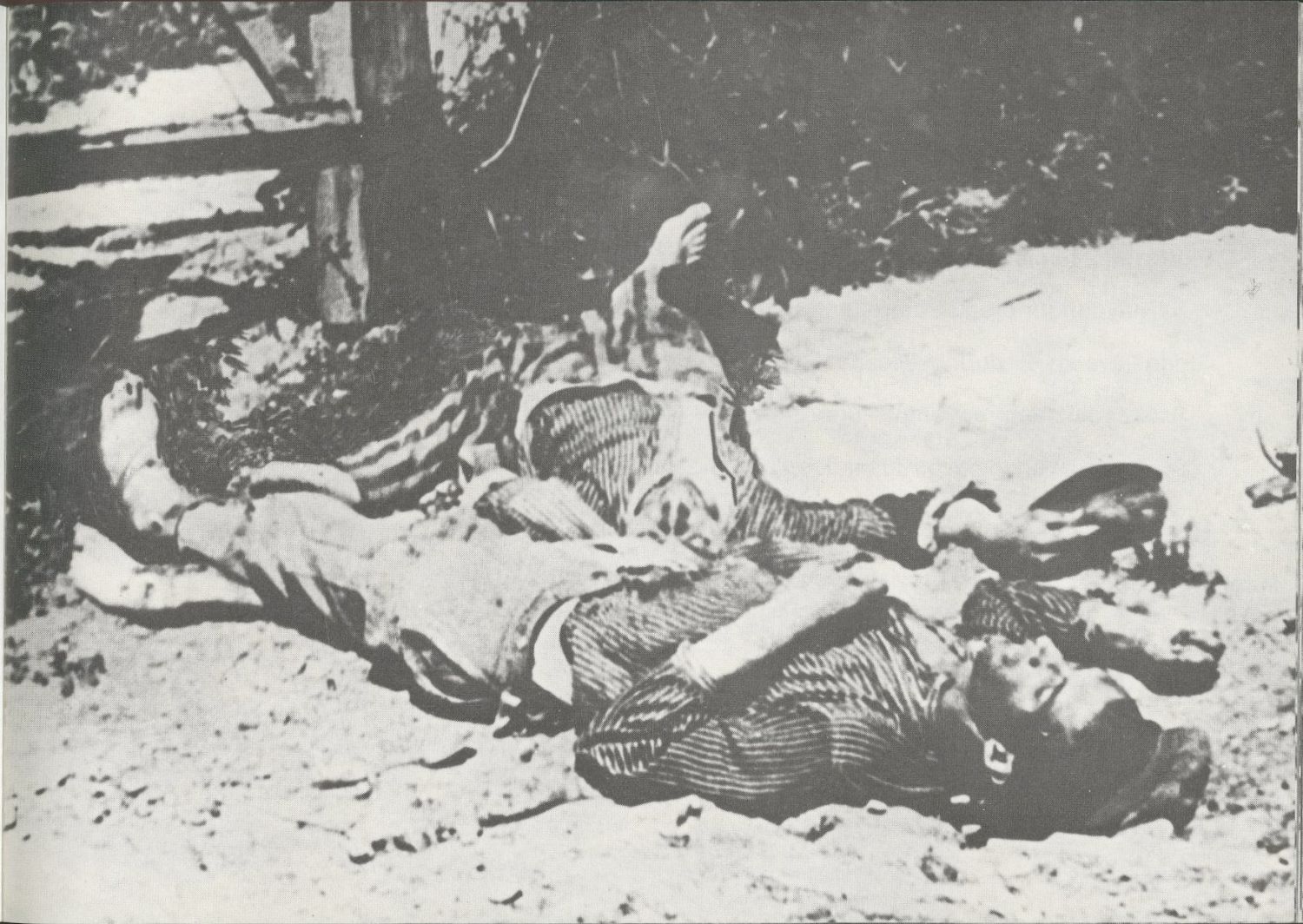 004-270.jpg